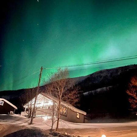Hundbergan Apartment-Free Parking-15 Min From Tromso Tromsdalen Exterior foto