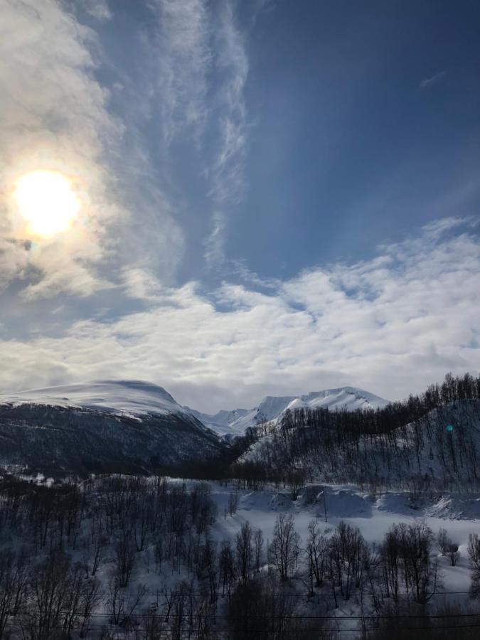 Hundbergan Apartment-Free Parking-15 Min From Tromso Tromsdalen Exterior foto
